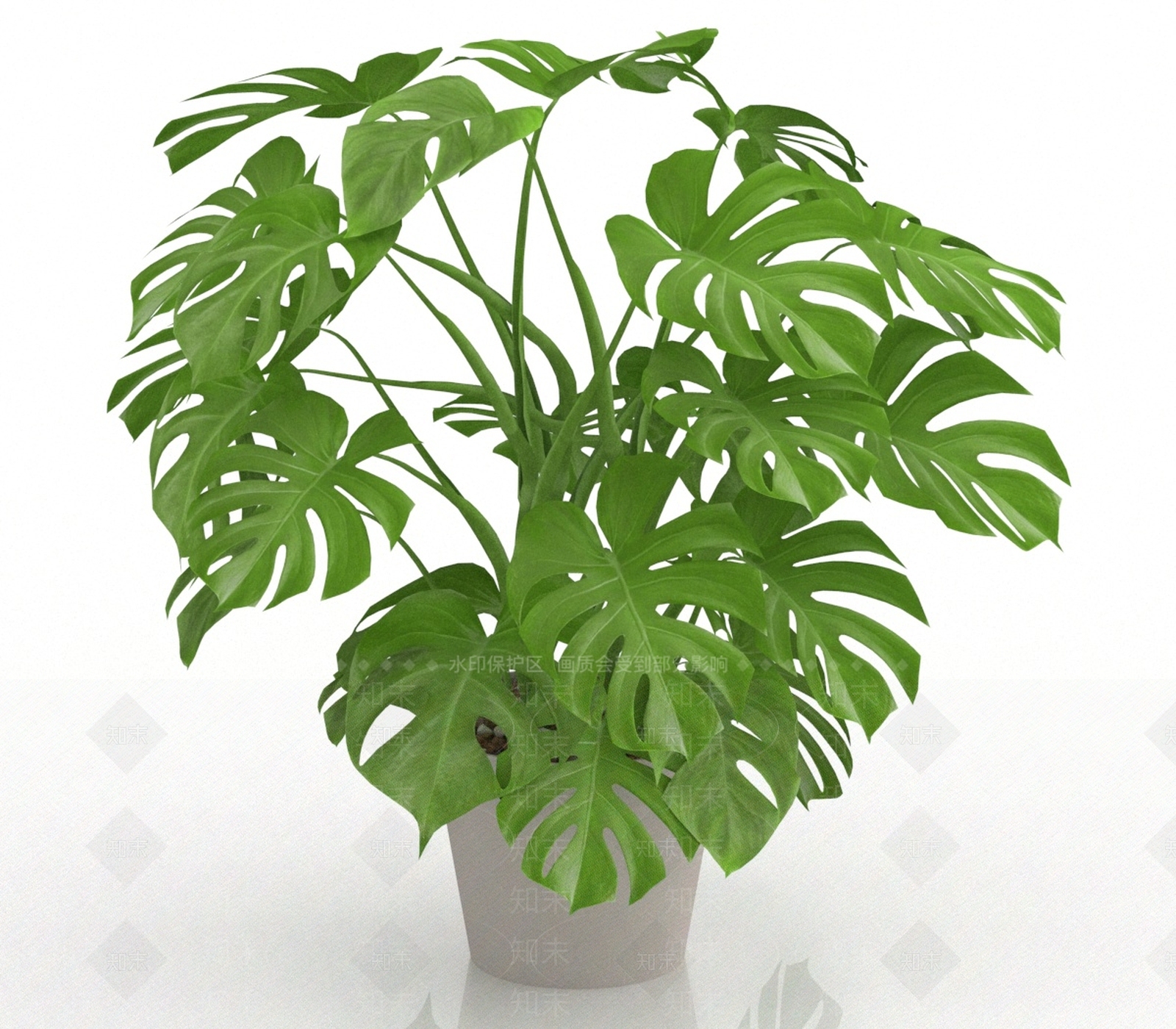 其他绿植3D模型下载【ID:1190861813】