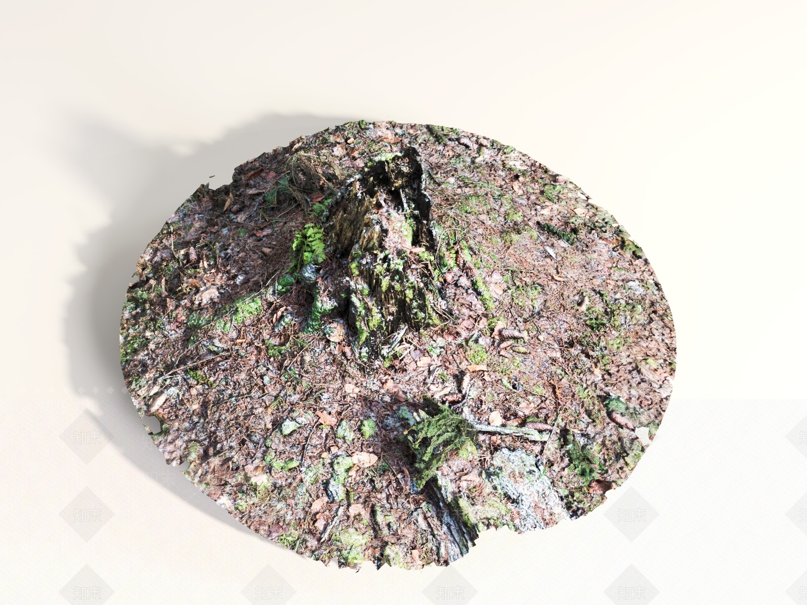 其他树木3D模型下载【ID:1190870514】