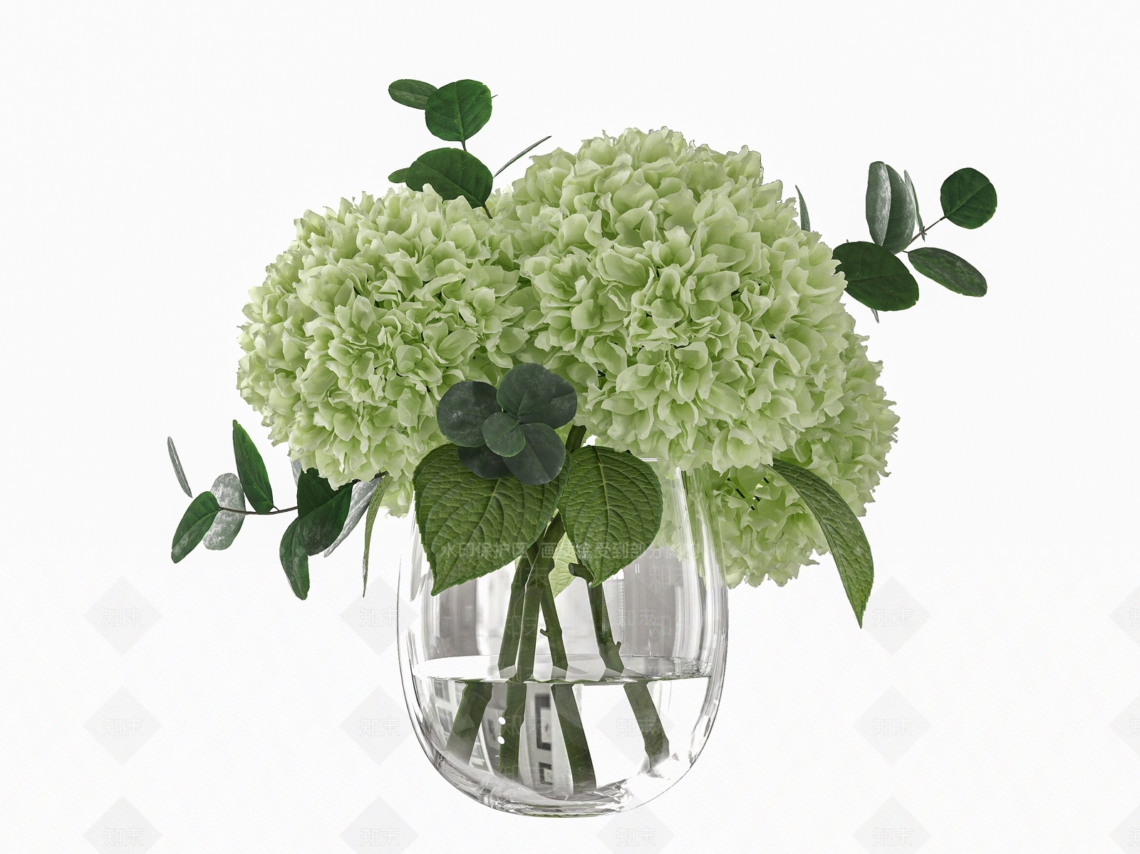 水生植物3D模型下载【ID:1190877559】