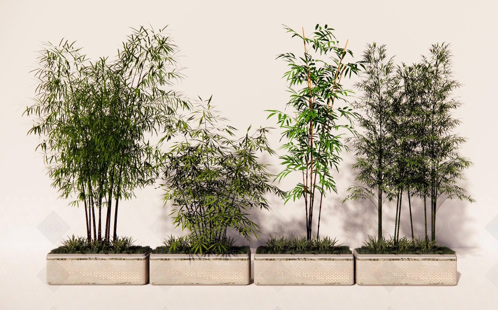 竹子SU模型草图