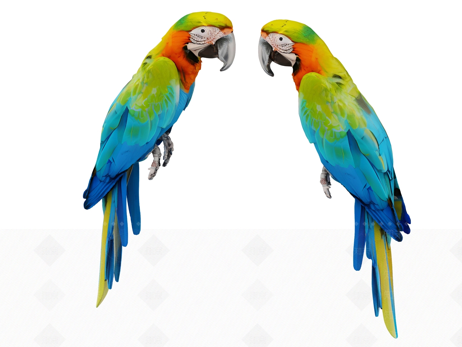 飞行类动物3D模型下载【ID:1190881097】