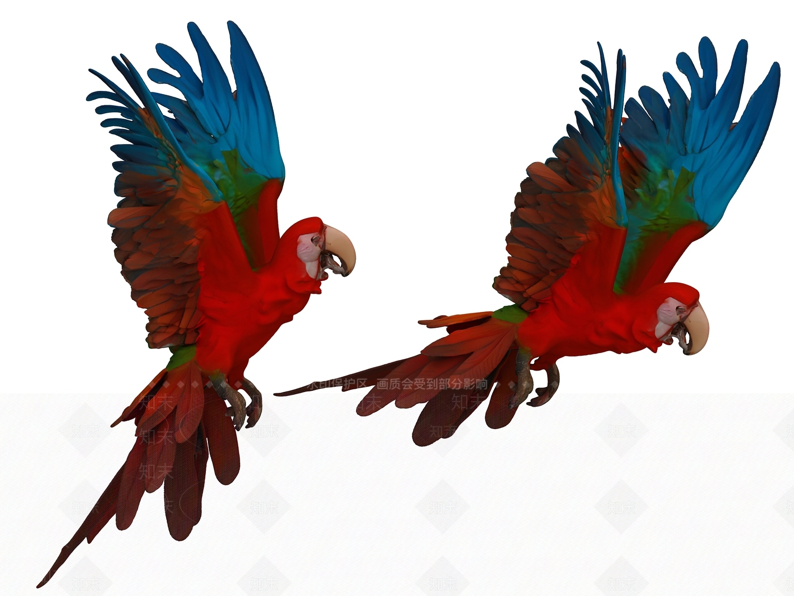 飞行类动物3D模型下载【ID:1190882121】
