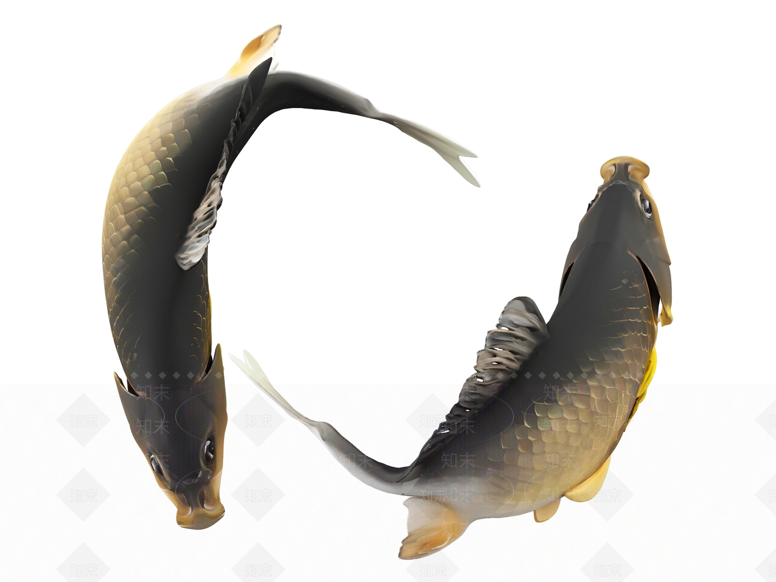 水生类动物3D模型下载【ID:1190882701】