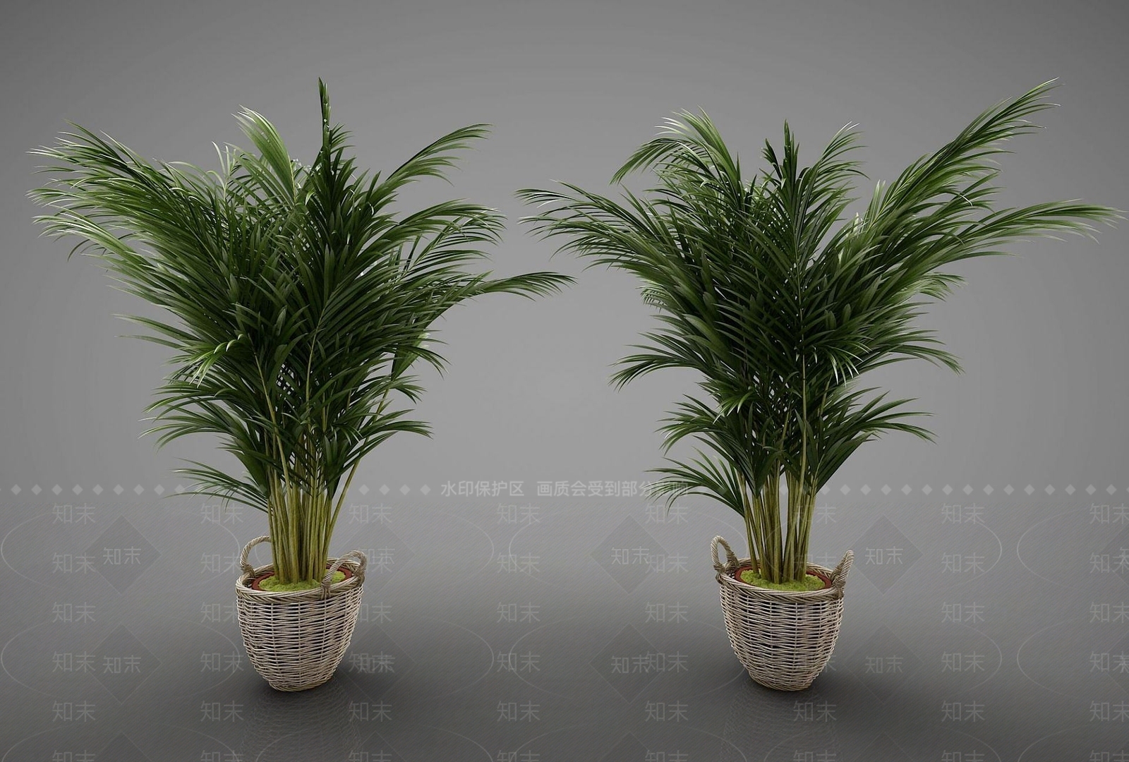 现代装饰植物3D模型下载【ID:1190897721】