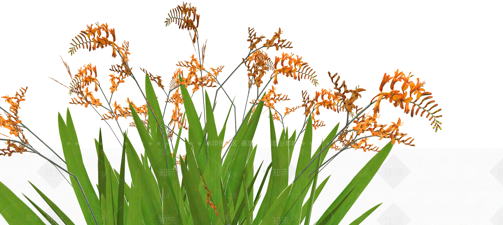 花草SU模型下载【ID:1190899779】