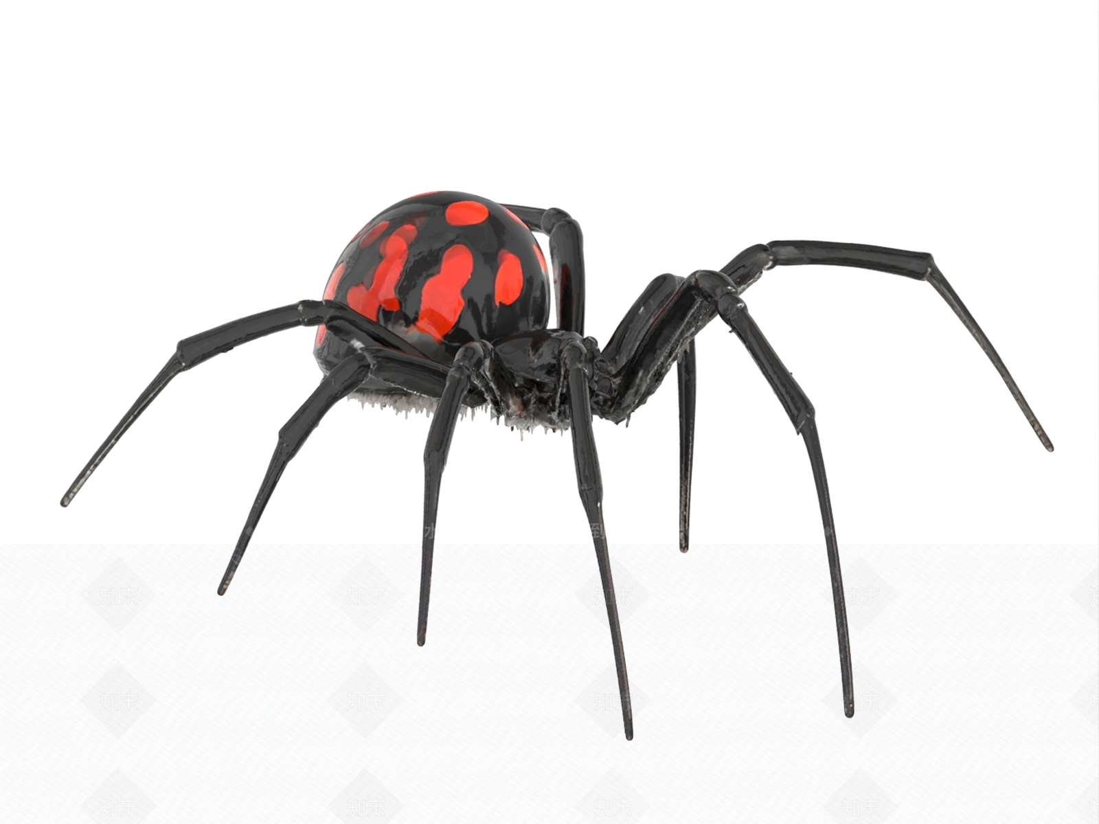 爬行类动物3D模型下载【ID:1190934268】
