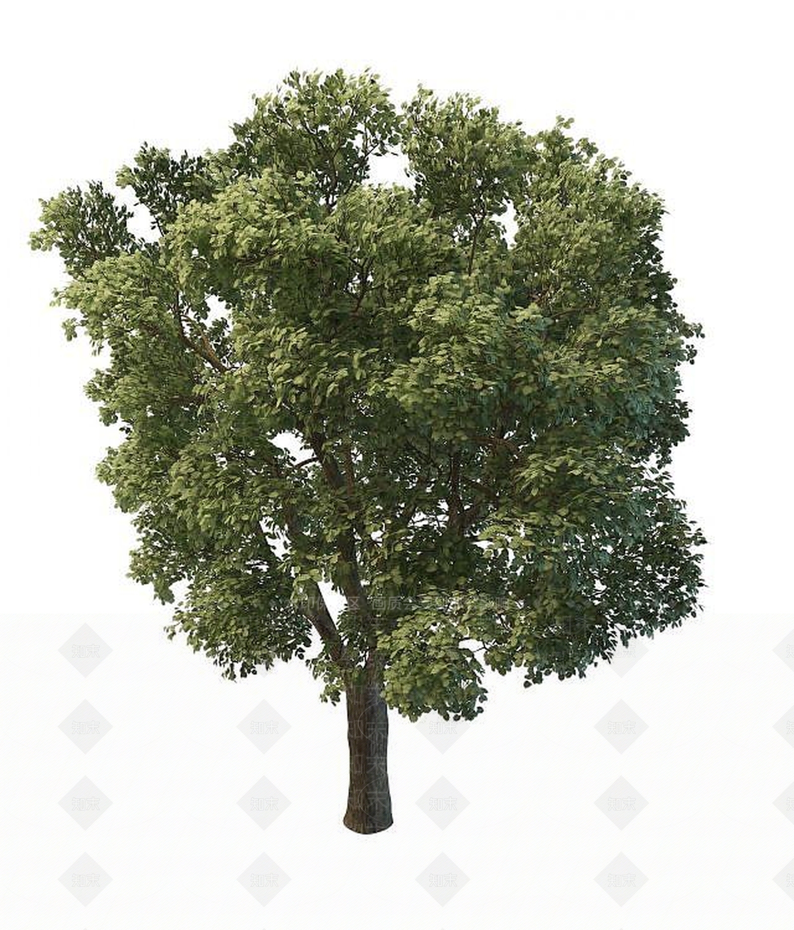 现代景观树木3D模型下载【ID:1190945955】
