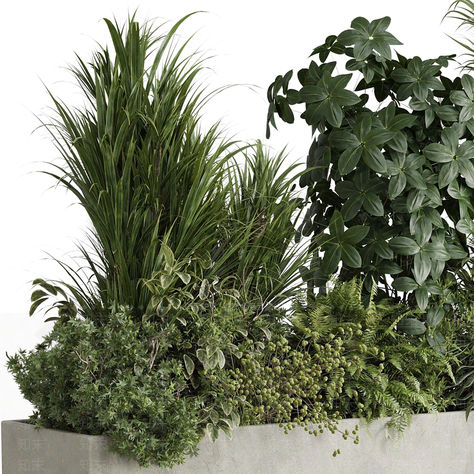植物堆3D模型渲染效果图