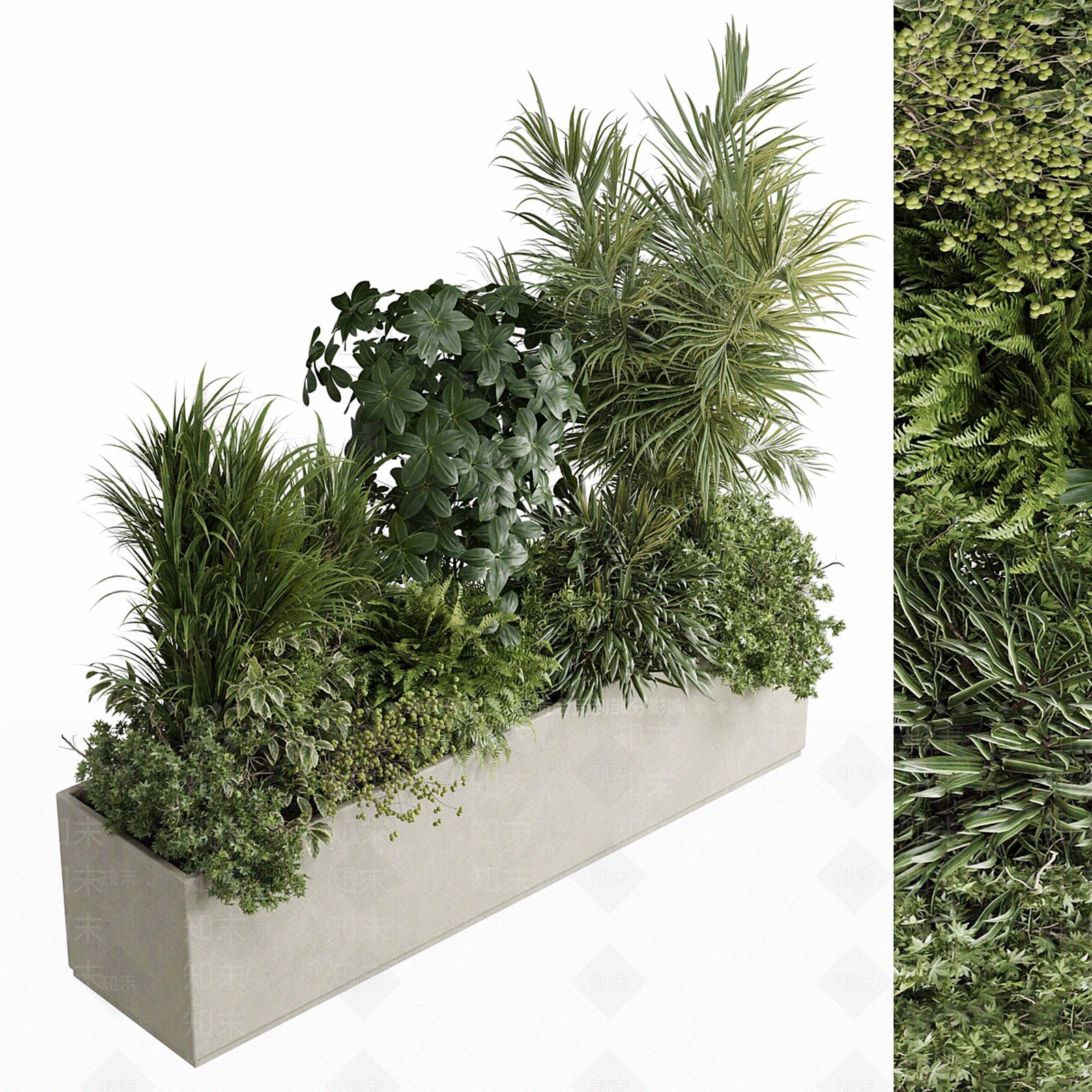 植物堆3D模型下载【ID:1190993988】