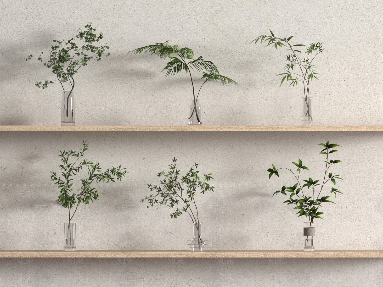 水生植物3D模型下载【ID:1190999093】