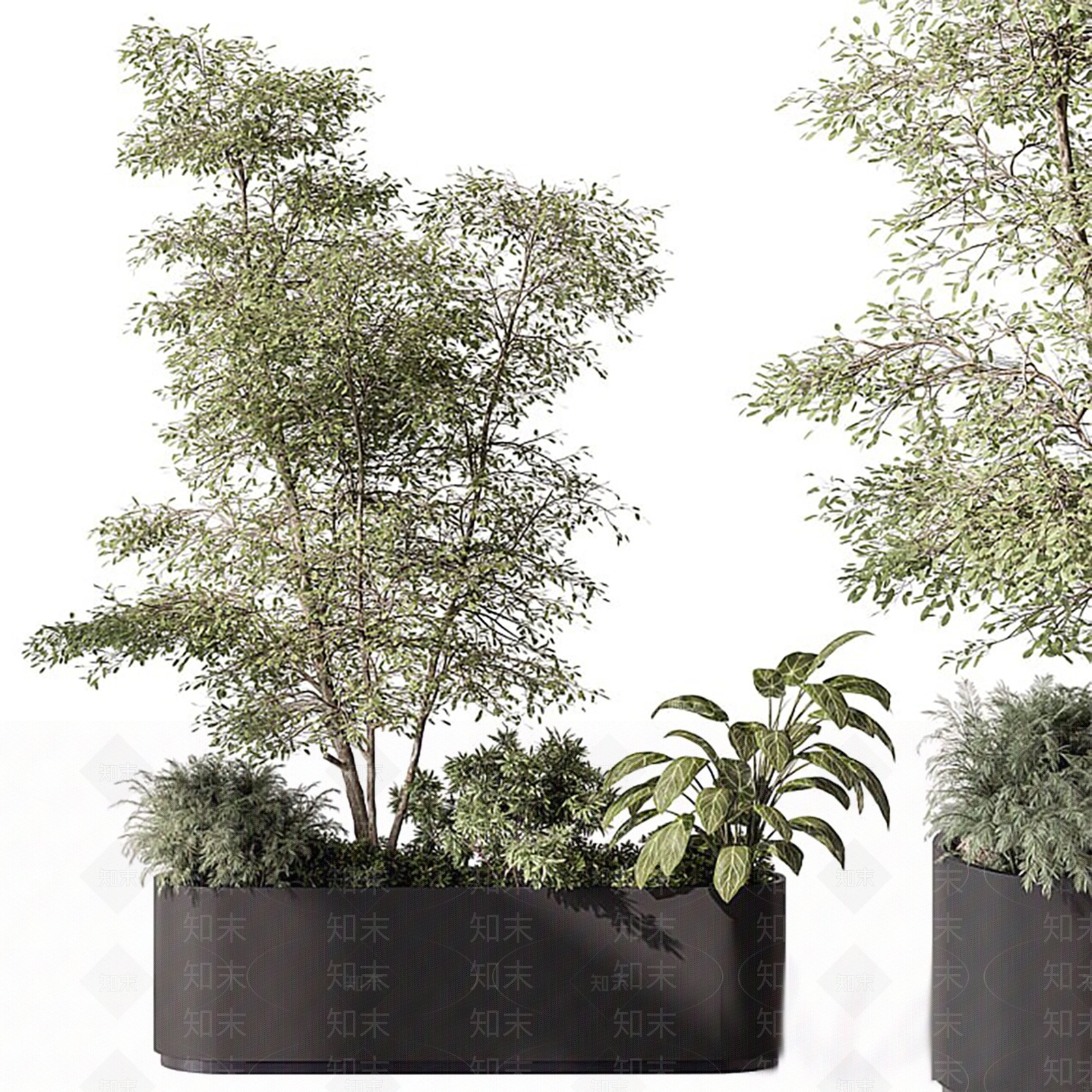 其他绿植3D模型下载【ID:1191024592】