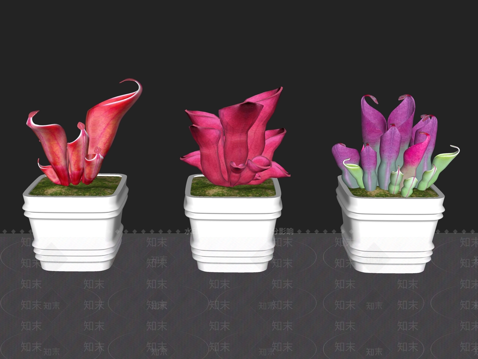 花草SU模型下载【ID:1191049868】