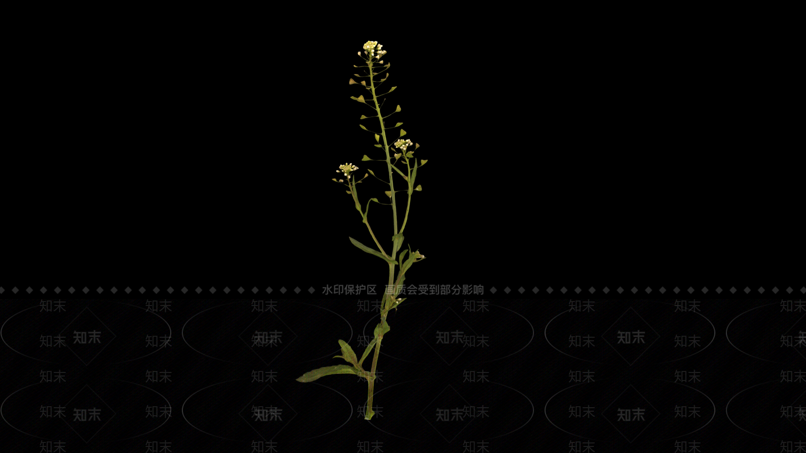 草3D模型下载【ID:1191053334】