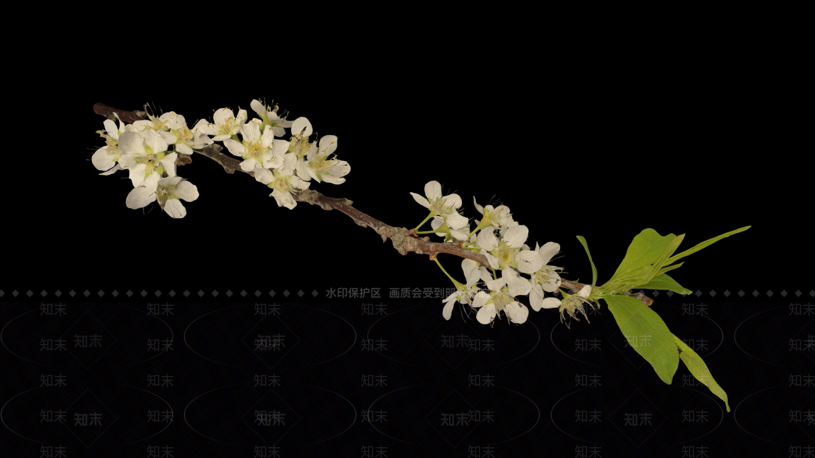 花3D模型下载【ID:1191053610】