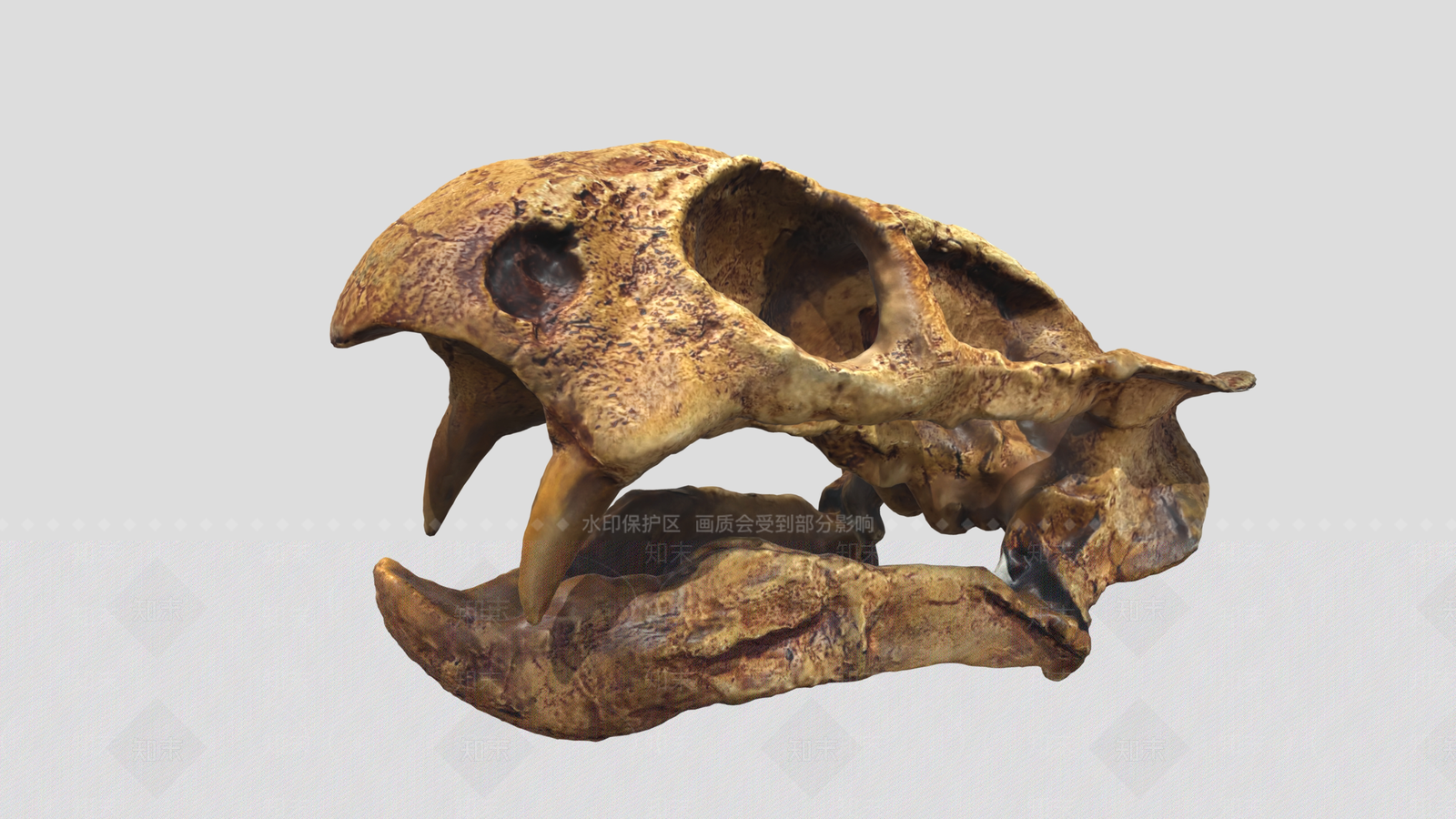 家禽类动物3D模型下载【ID:1191093981】