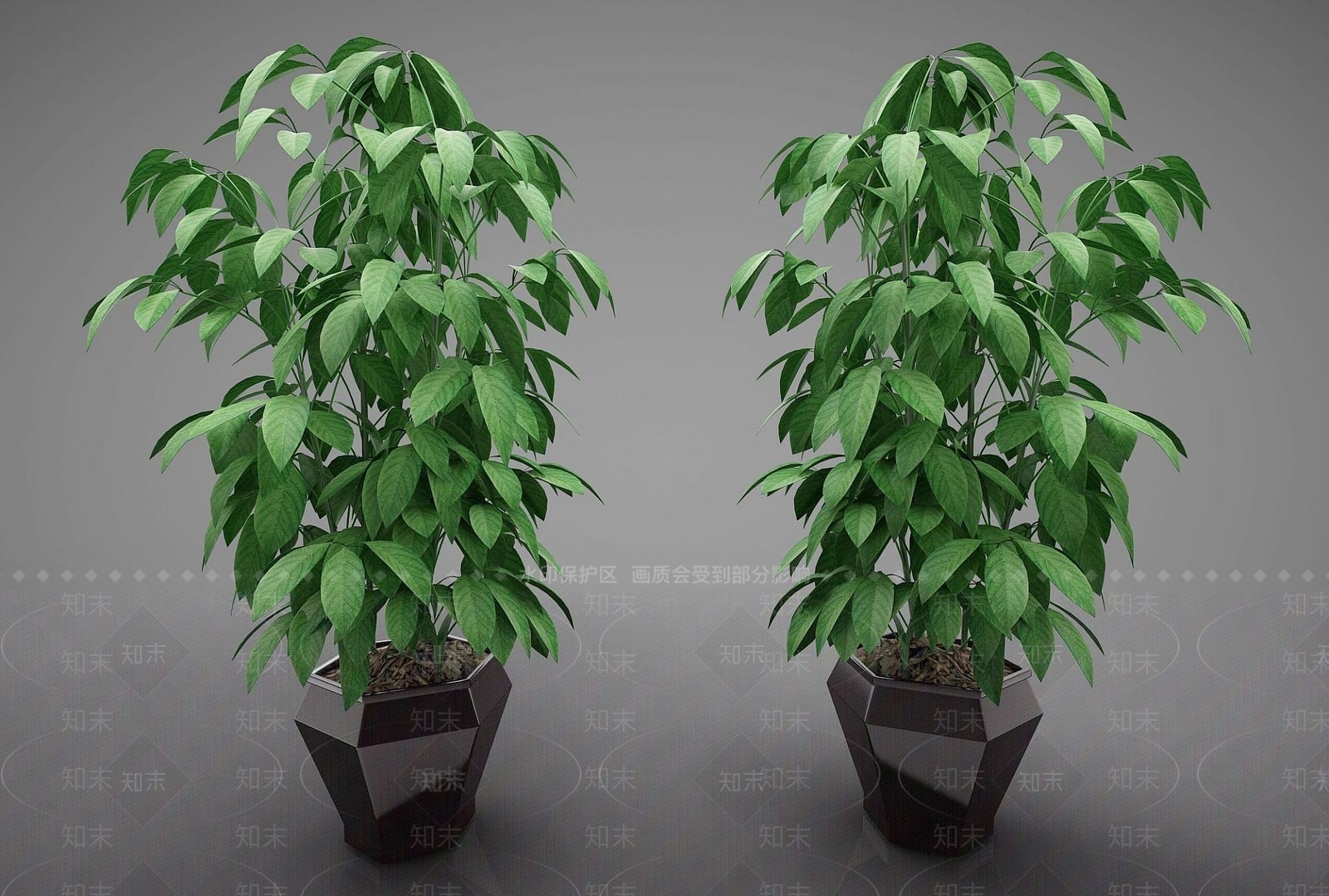 现代风格盆栽3D模型下载【ID:1191103818】