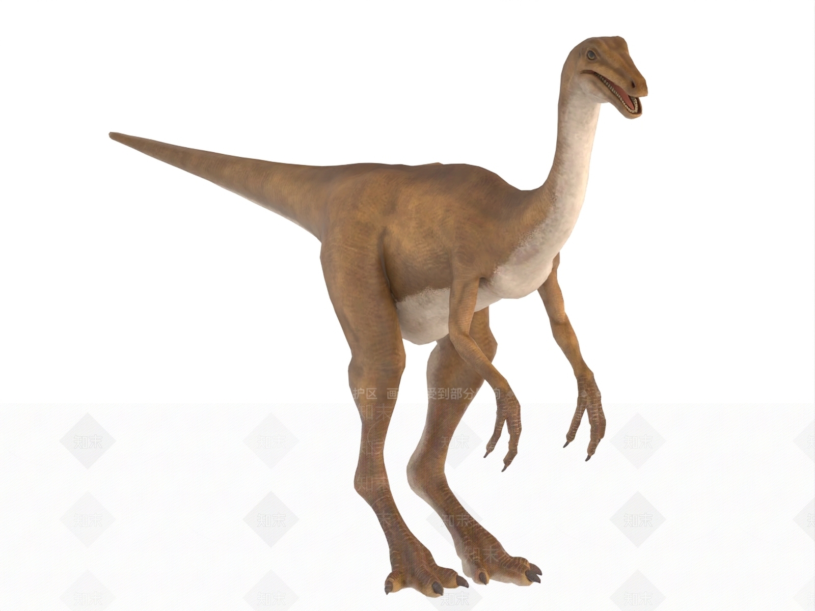 其他动物3D模型下载【ID:1191117843】