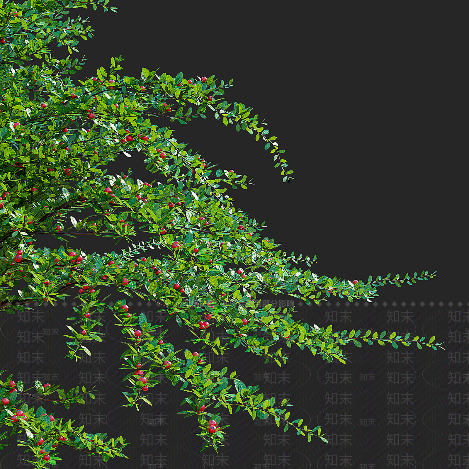 灌木3D模型下载【ID:1191120853】
