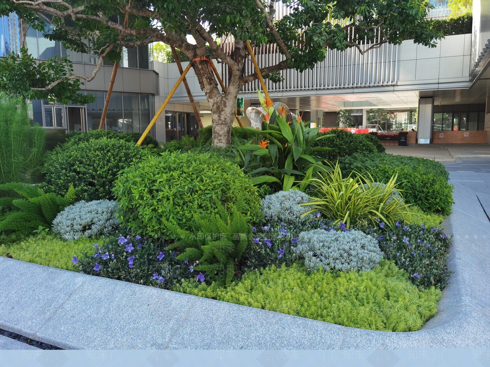 花草SU模型下载【ID:1191122526】