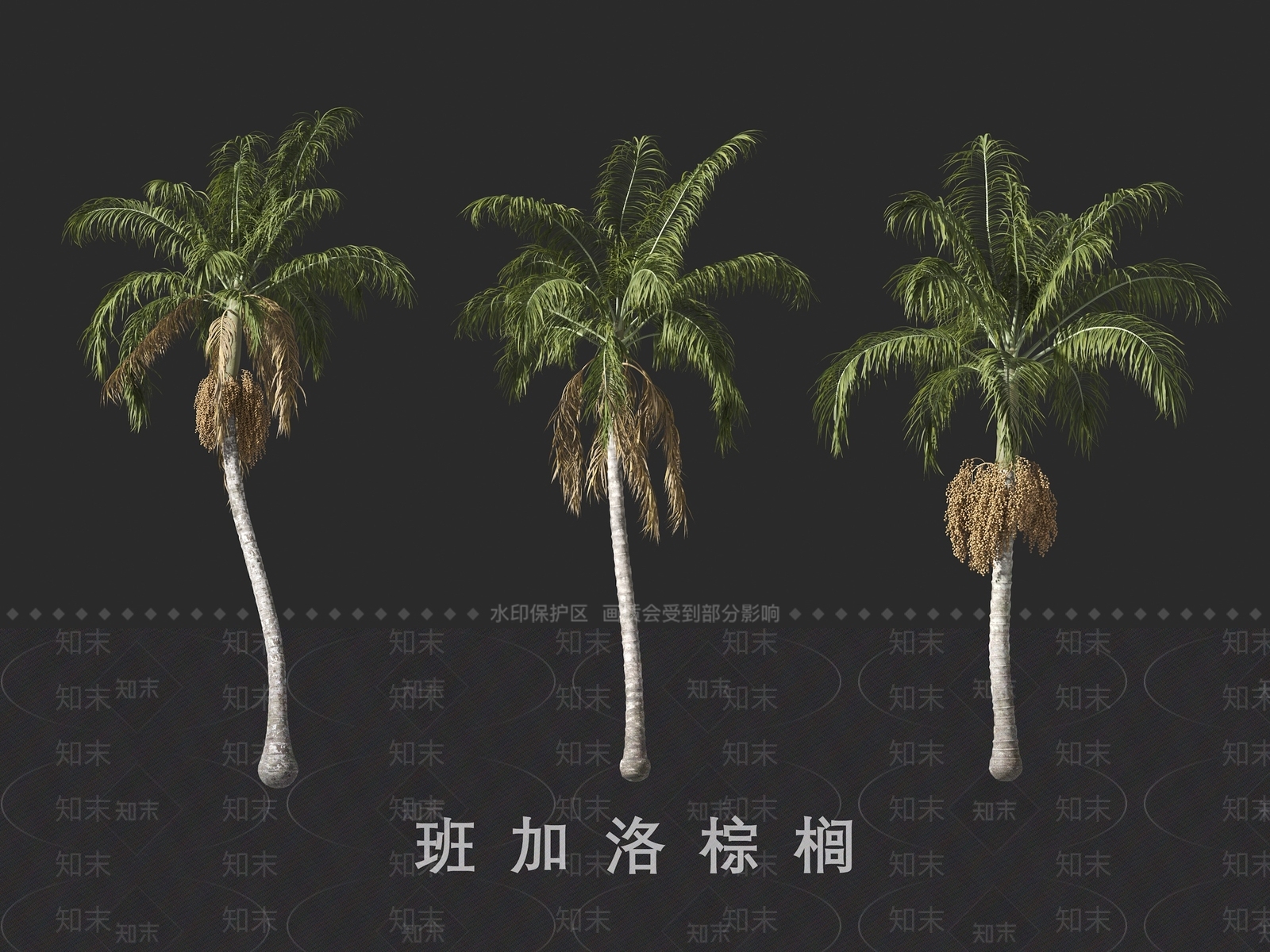景观树3D模型下载【ID:1191127310】