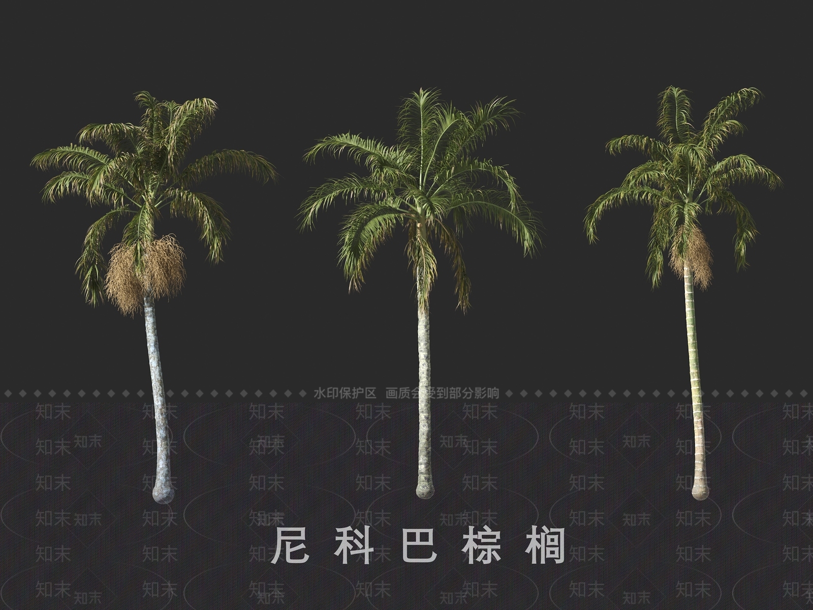 景观树3D模型下载【ID:1191127343】