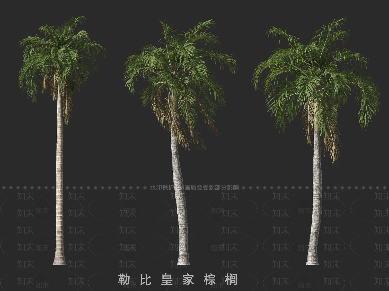 乔木3D模型下载【ID:1191127670】