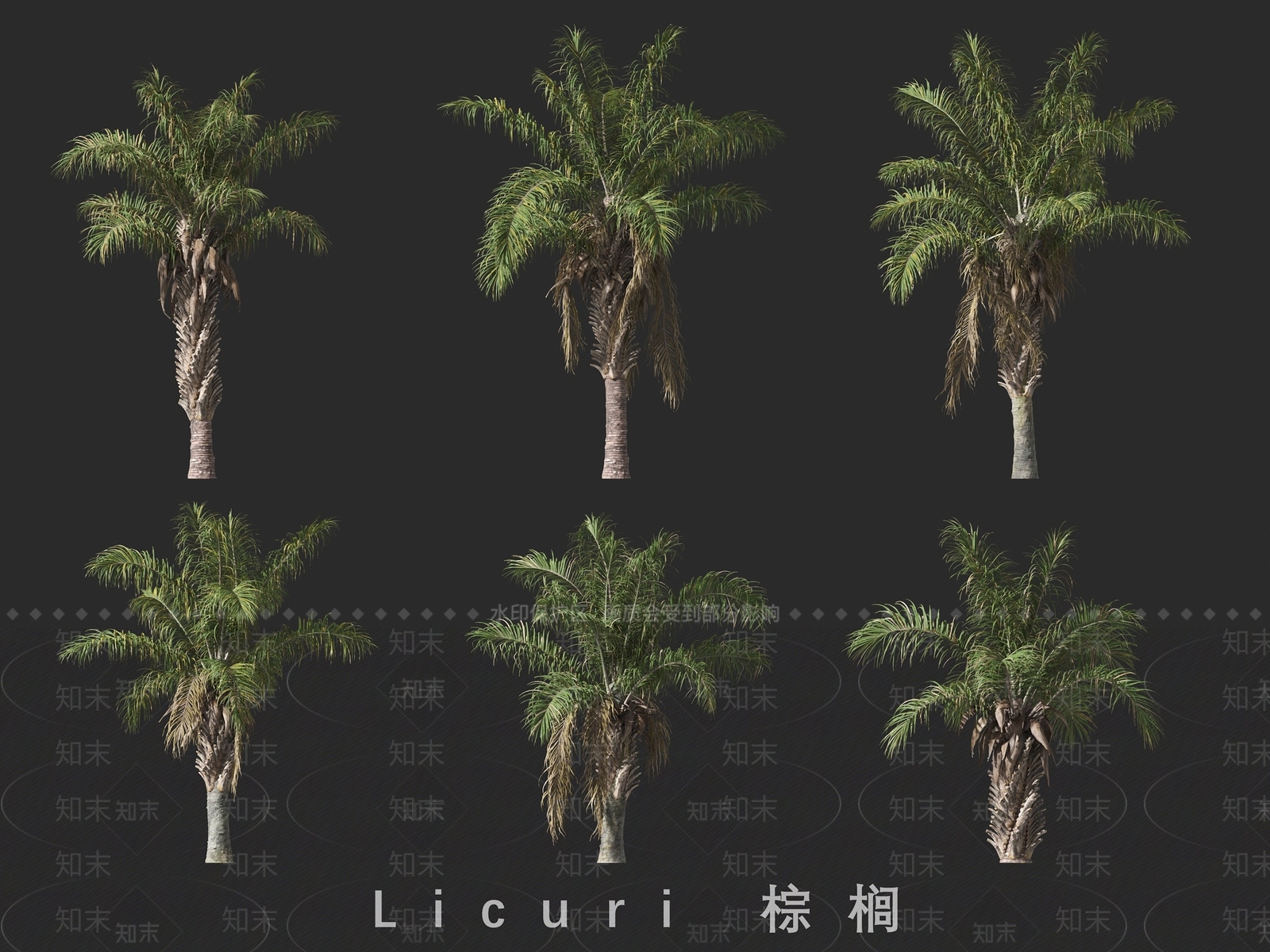 景观树3D模型下载【ID:1191127633】