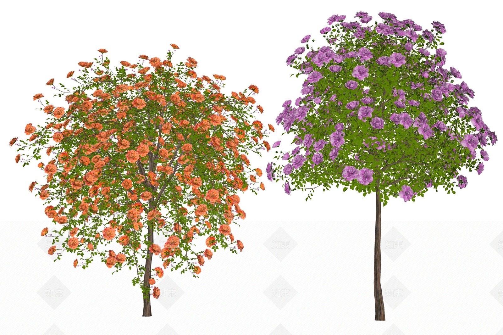 花草SU模型下载【ID:1191149259】