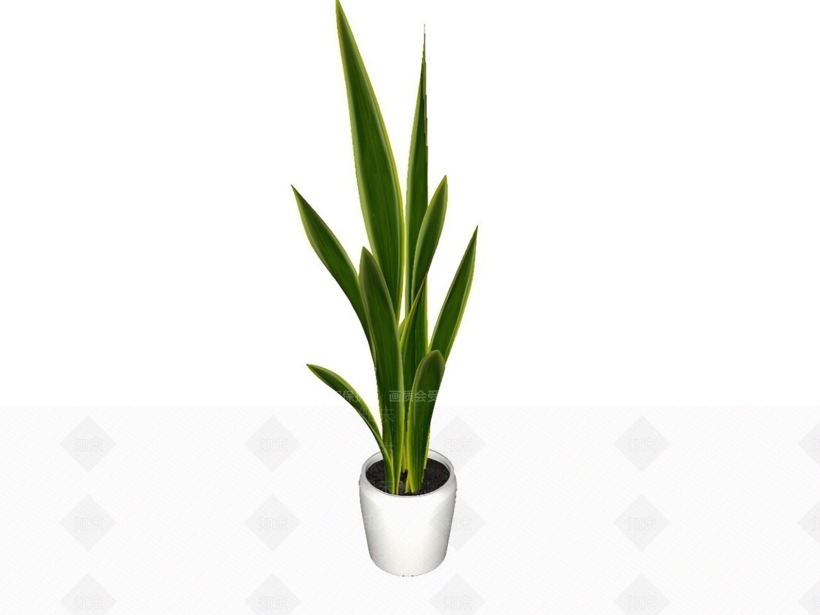 盆栽SU模型下载【ID:1191150349】