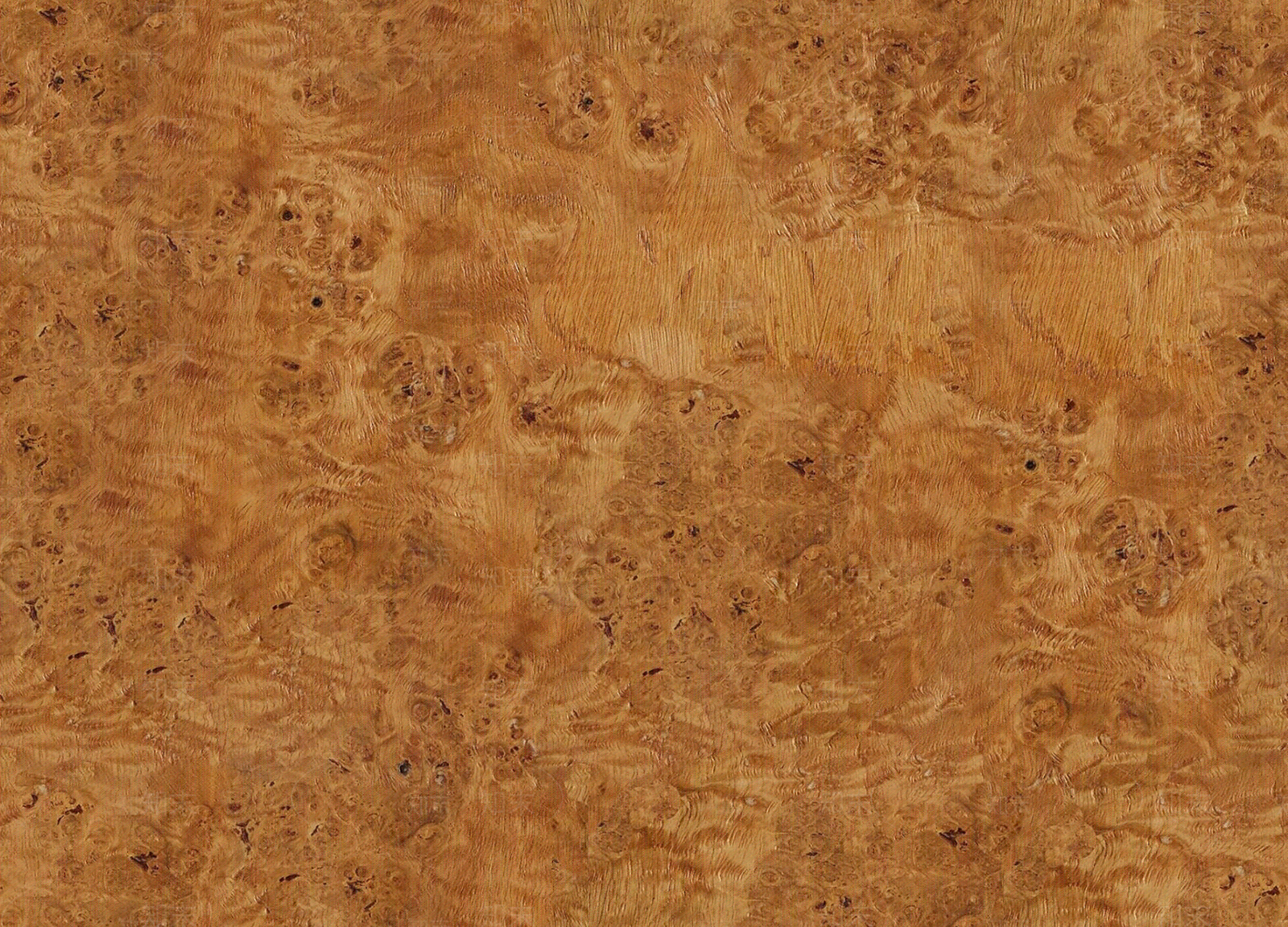 现代树瘤贴图下载【ID:1191156185】