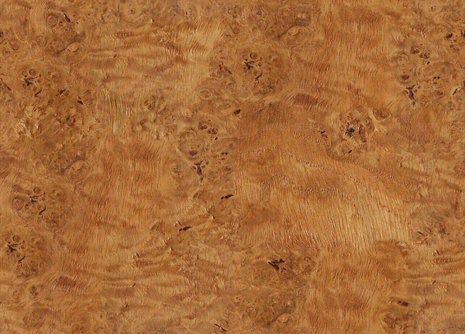 现代树瘤贴图下载【ID:1191156309】