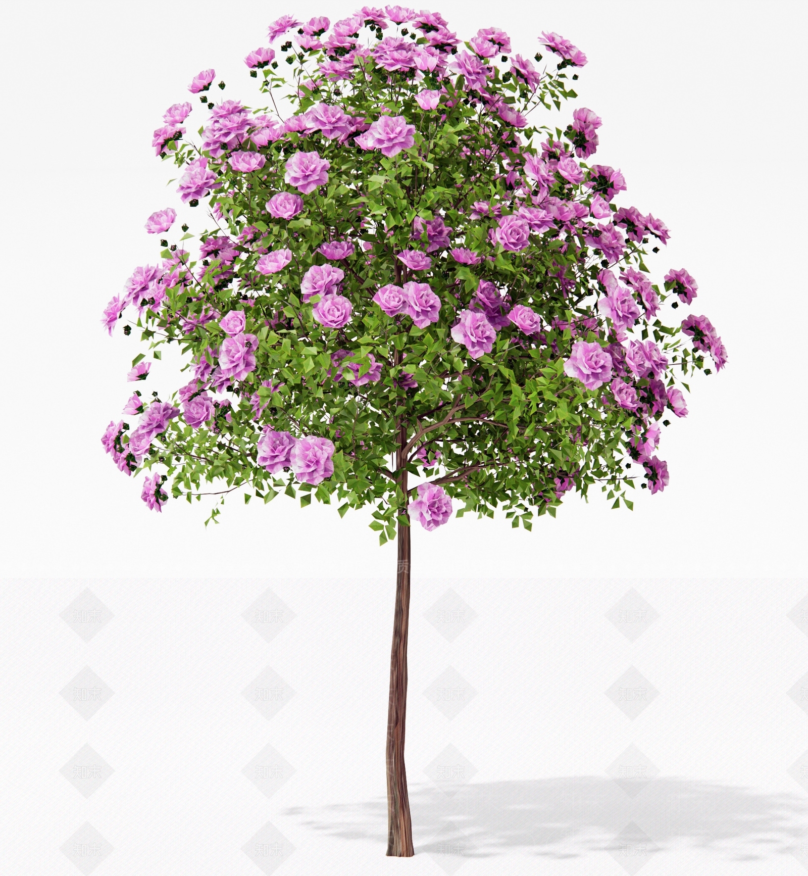 乔木3D模型下载【ID:1191180566】