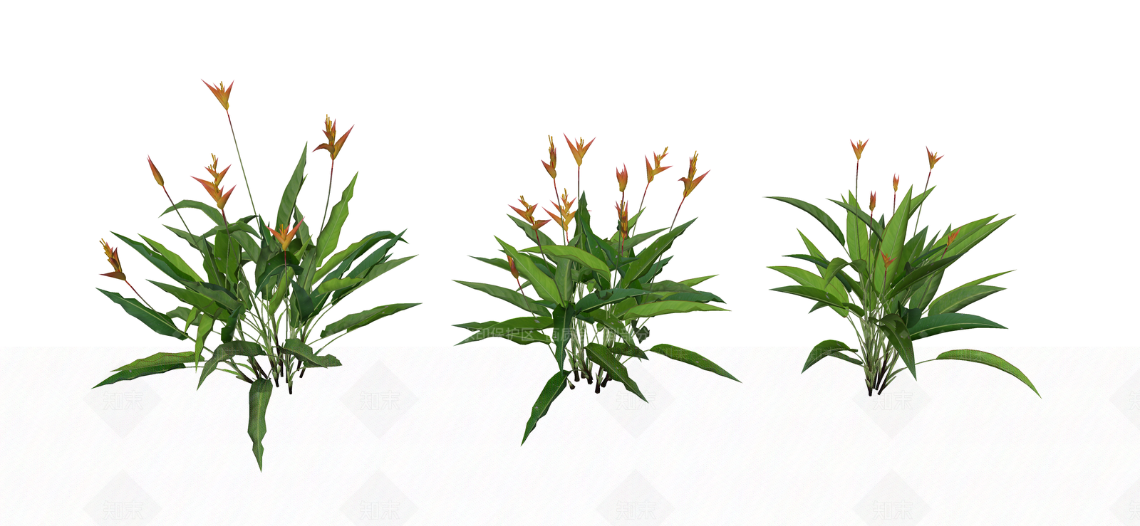 灌木SU模型下载【ID:1191189355】