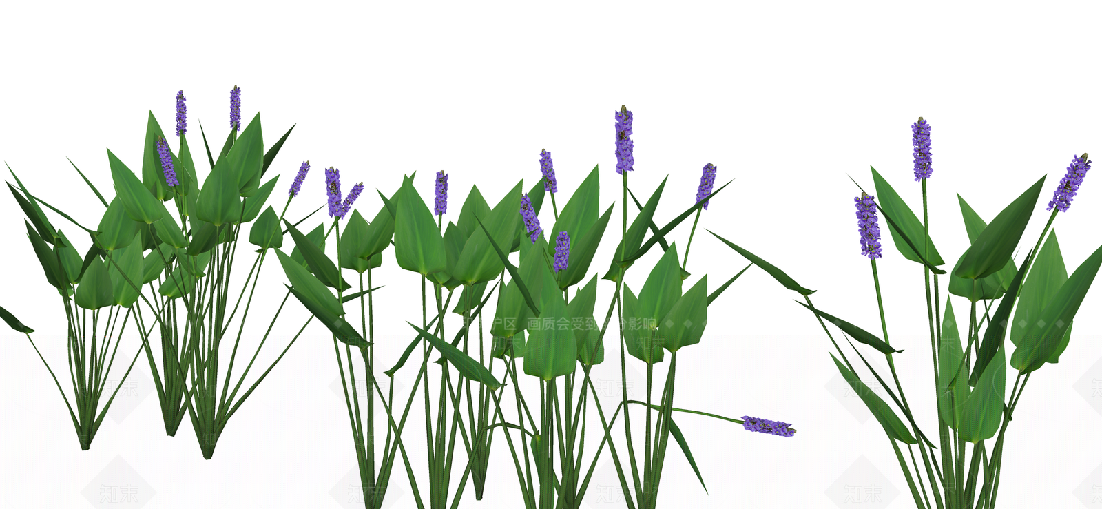 水生植物SU模型下载【ID:1191193466】
