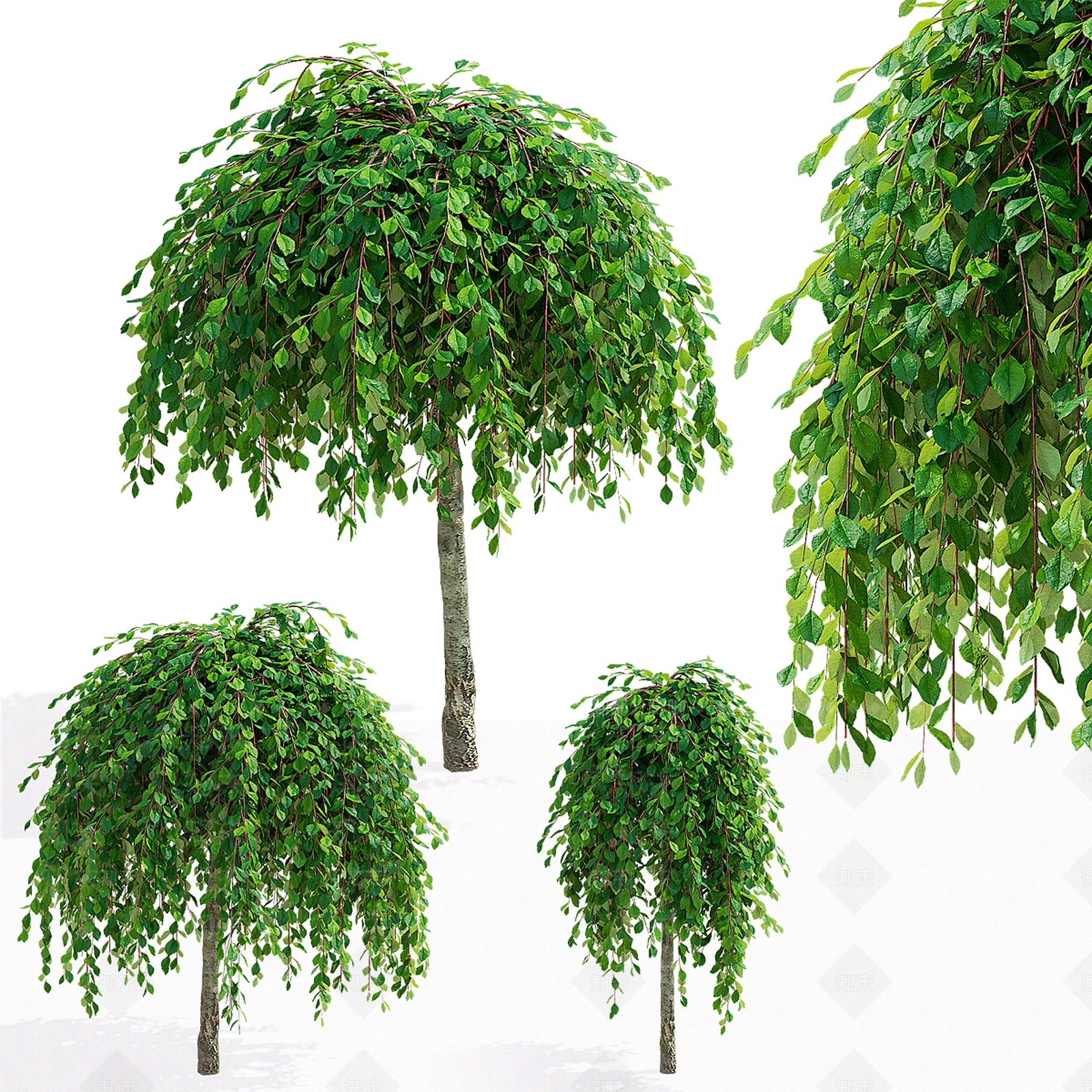 其他树木3D模型下载【ID:1191206334】