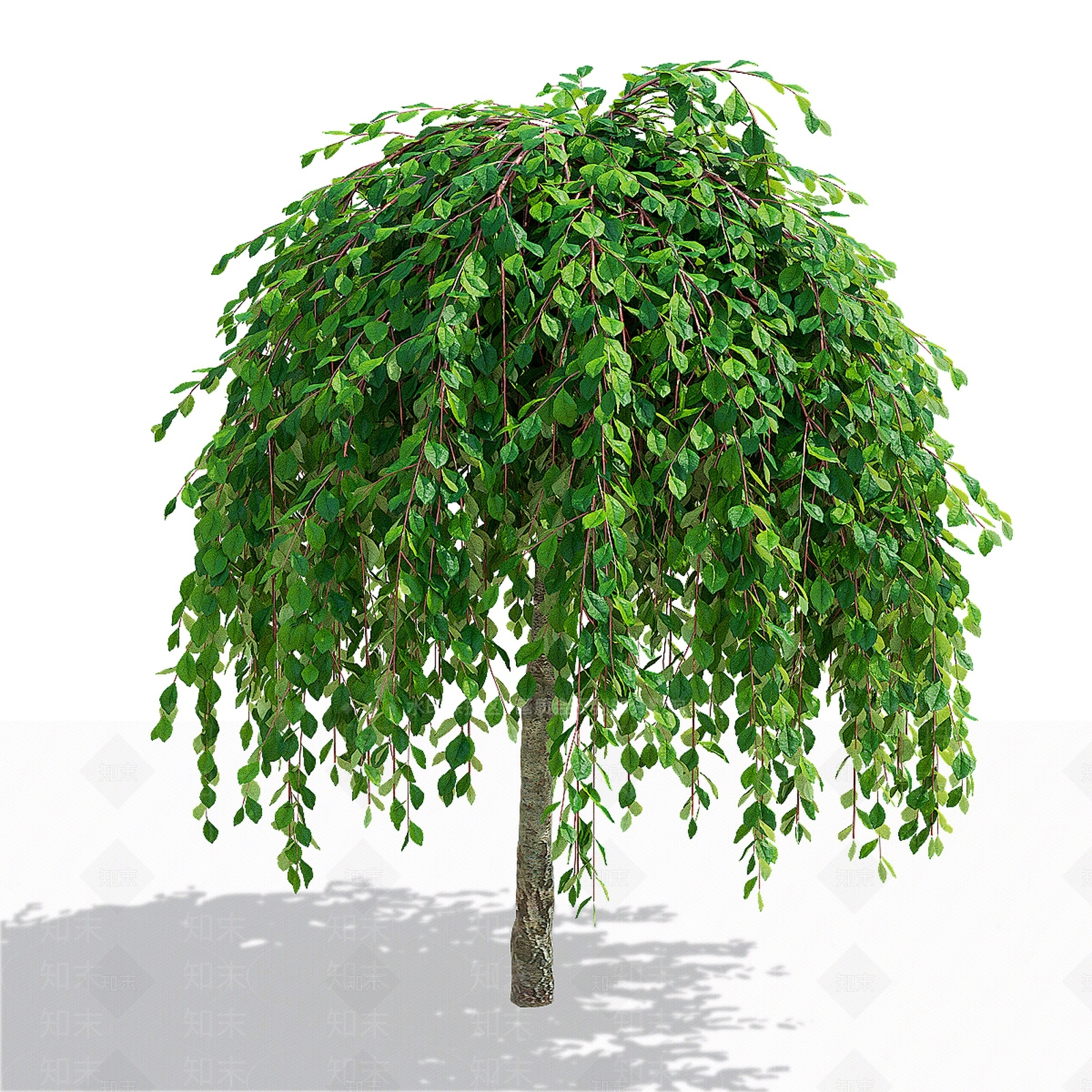 其他树木3D模型下载【ID:1191206334】