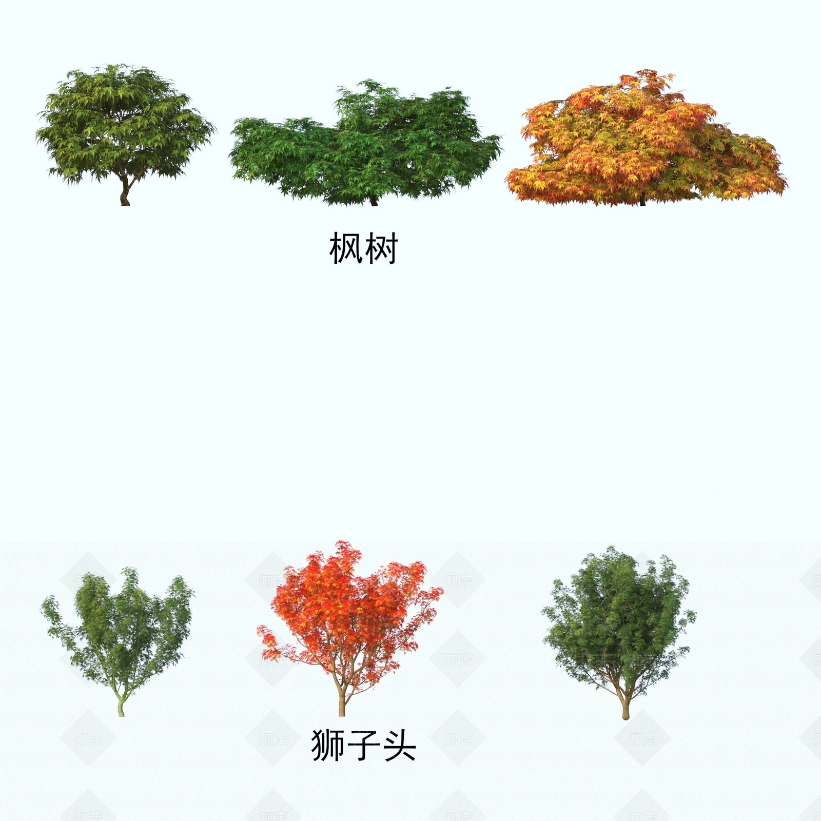 其他树木3D模型下载【ID:1191207974】