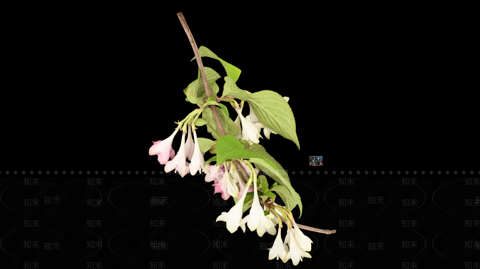 花3D模型下载【ID:1191217260】