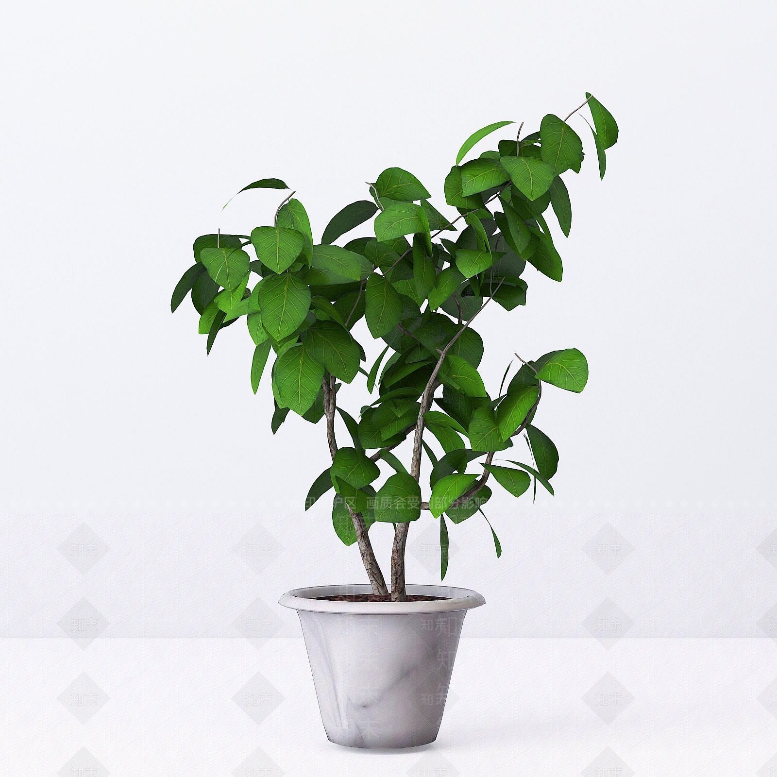 现代绿植室内盆栽3D模型下载【ID:1191225024】