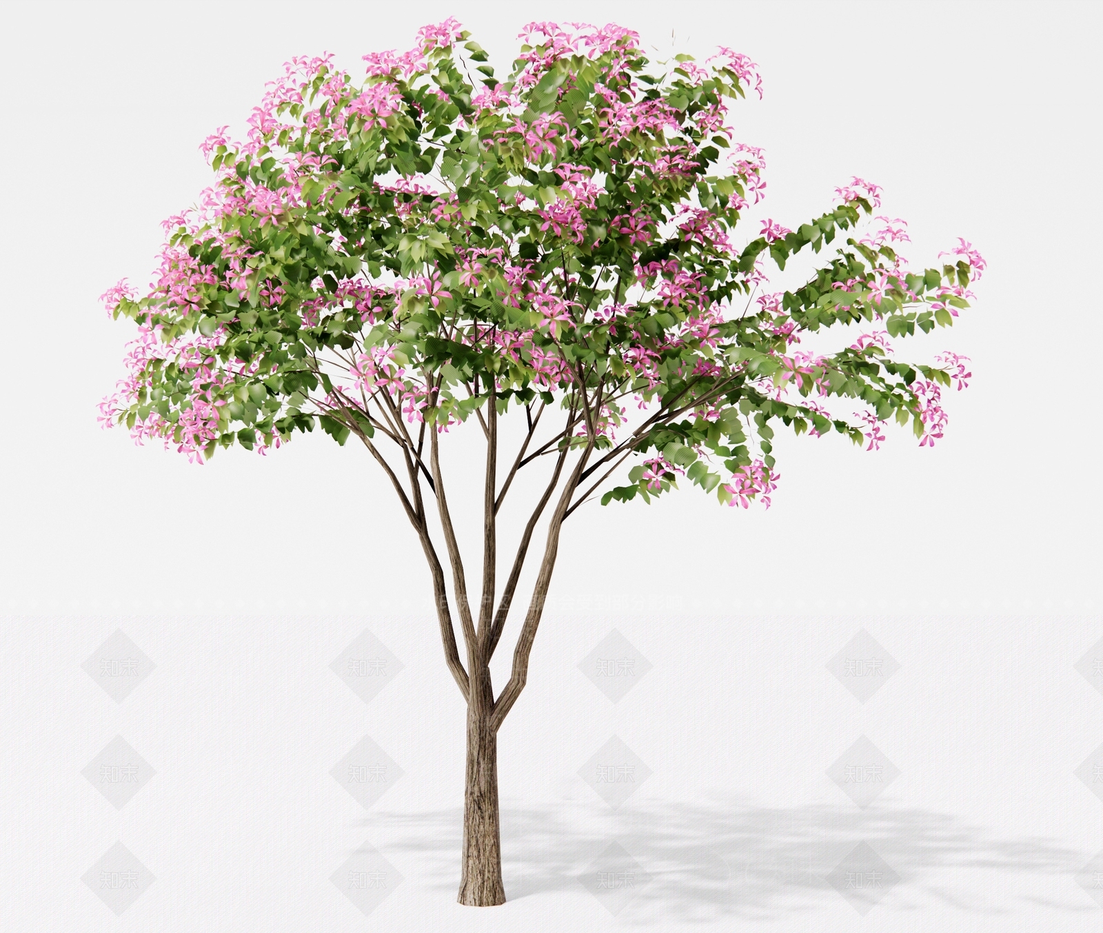 景观树3D模型下载【ID:1191263072】
