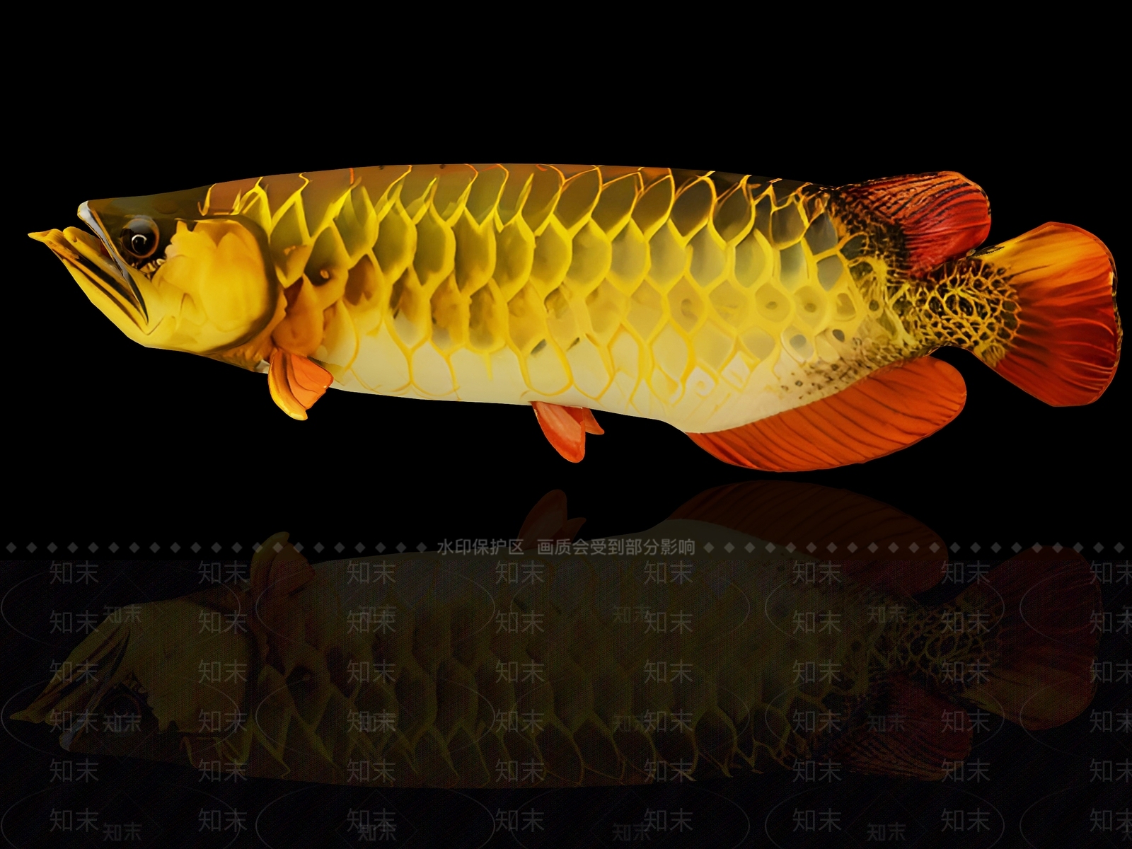水生类动物3D模型下载【ID:1191288142】