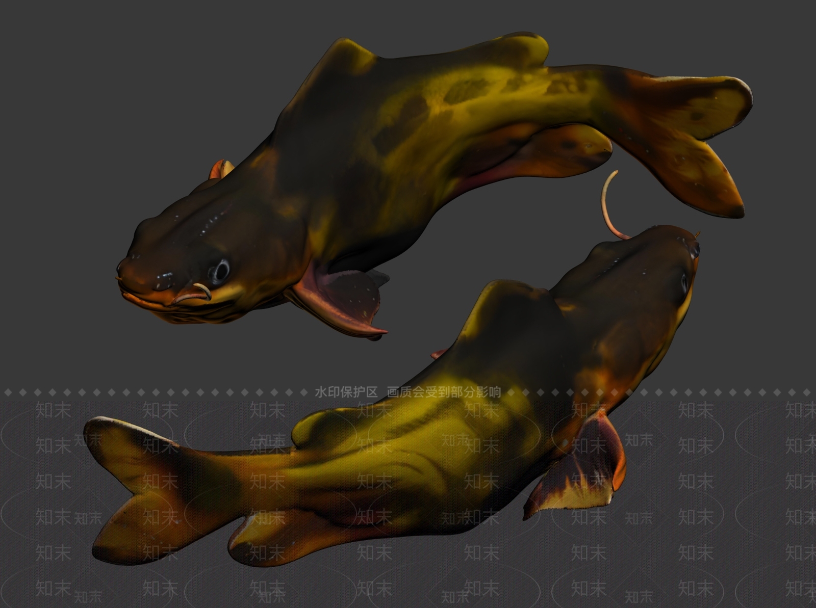 水生类动物3D模型下载【ID:1191289889】