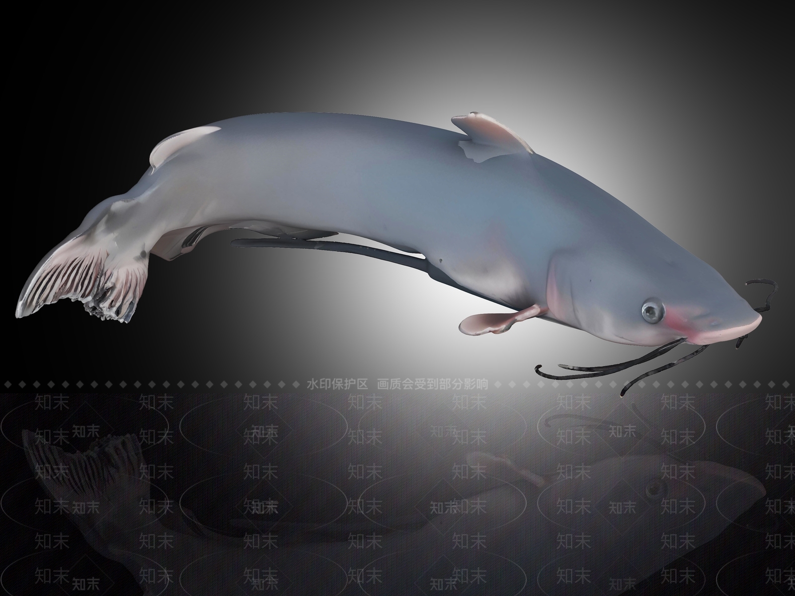 水生类动物3D模型下载【ID:1191289955】