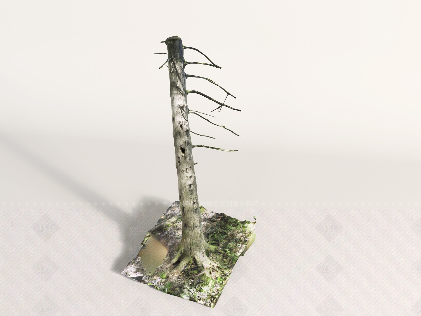 其他树木3D模型下载【ID:1191308402】