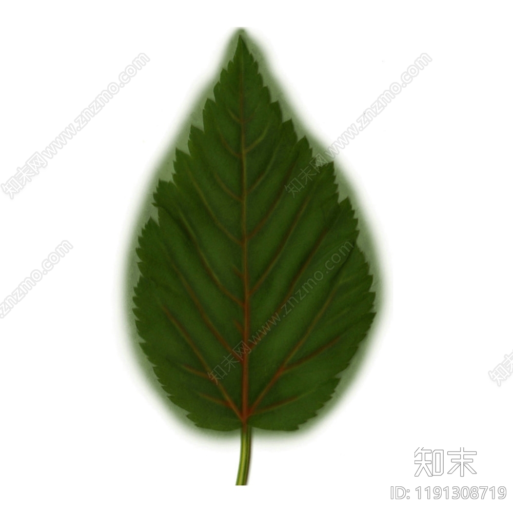 V贴图下载【ID:1191308719】