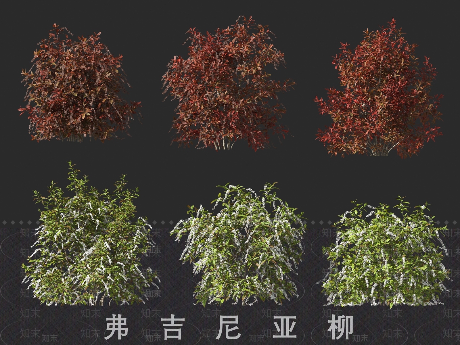 灌木3D模型下载【ID:1191338352】