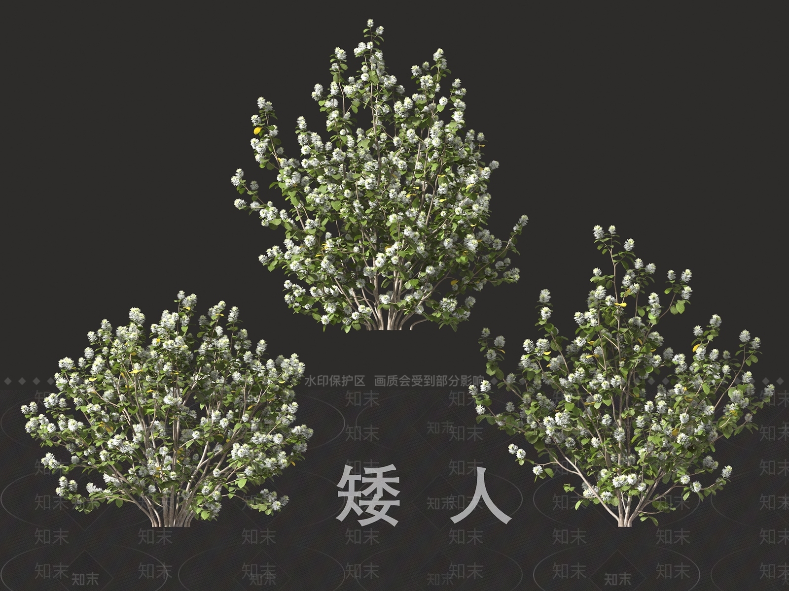 灌木3D模型下载【ID:1191338386】
