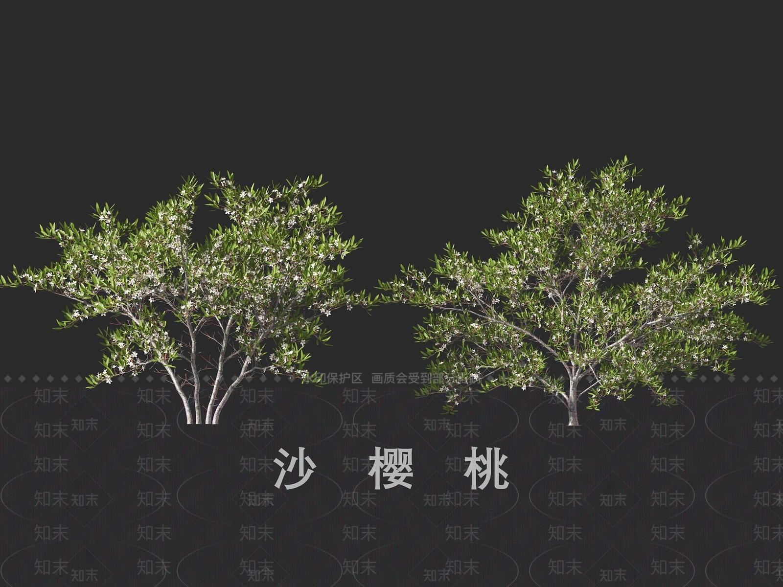 灌木3D模型下载【ID:1191338591】