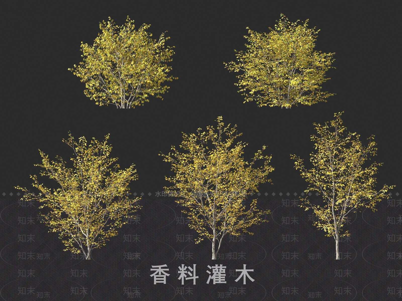 景观树3D模型下载【ID:1191338536】