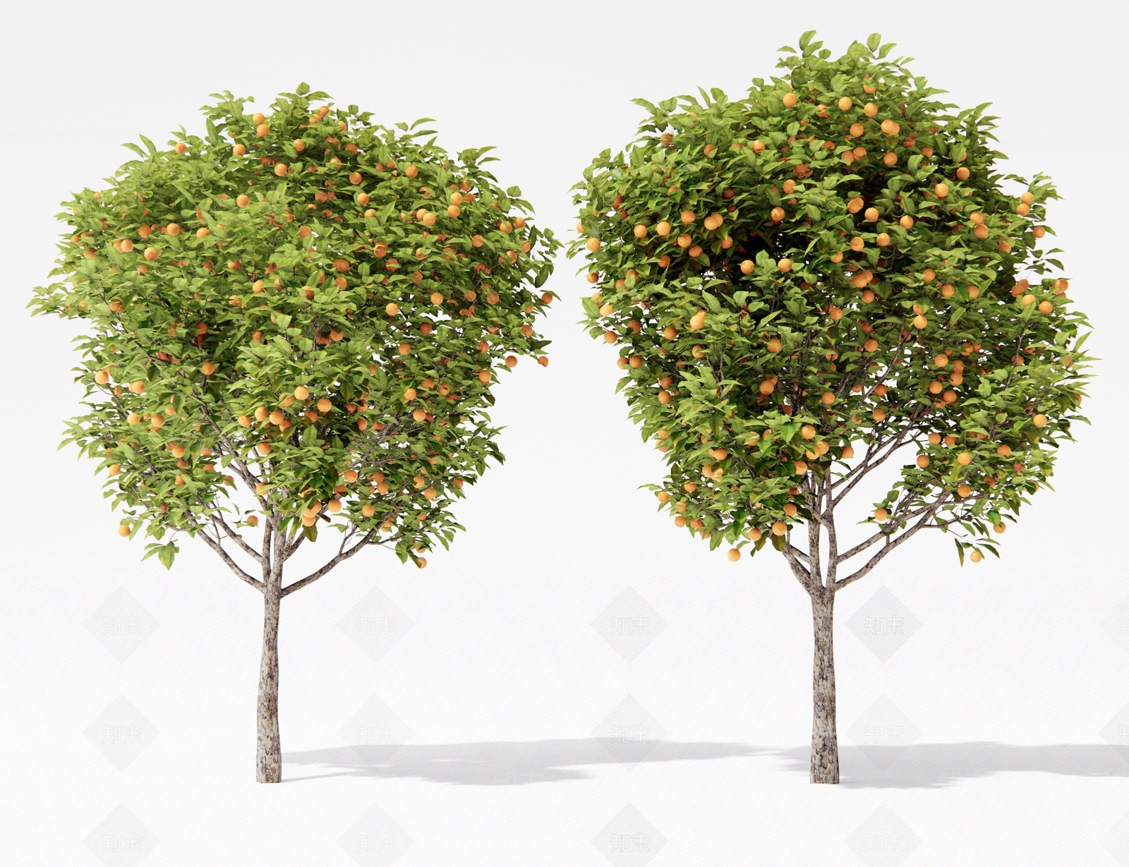 乔木3D模型下载【ID:1191384511】